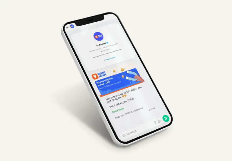 WhatsApp Business API service illustration